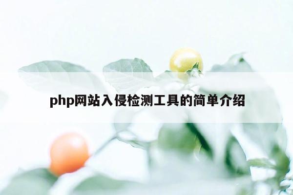 php网站入侵检测工具的简单介绍