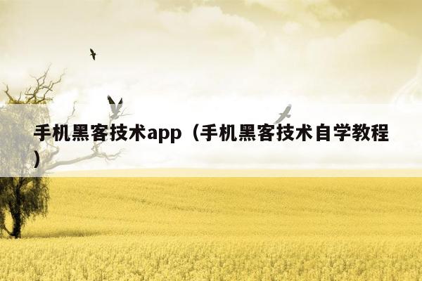 手机黑客技术app（手机黑客技术自学教程）