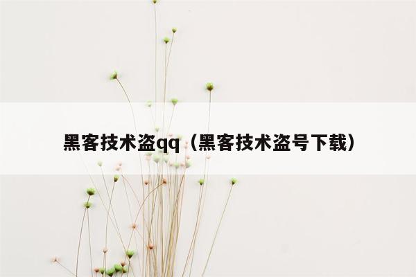 黑客技术盗qq（黑客技术盗号下载）