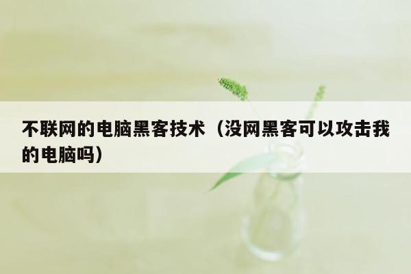 不联网的电脑黑客技术（没网黑客可以攻击我的电脑吗）