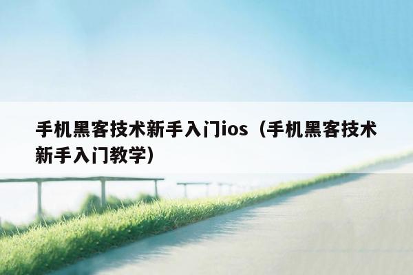 手机黑客技术新手入门ios（手机黑客技术新手入门教学）