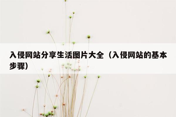 入侵网站分享生活图片大全（入侵网站的基本步骤）