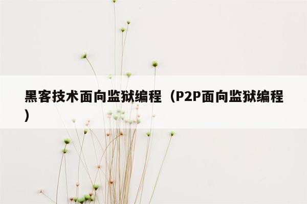 黑客技术面向监狱编程（P2P面向监狱编程）