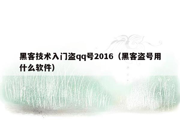 黑客技术入门盗qq号2016（黑客盗号用什么软件）