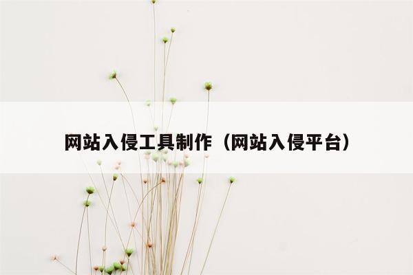 网站入侵工具制作（网站入侵平台）