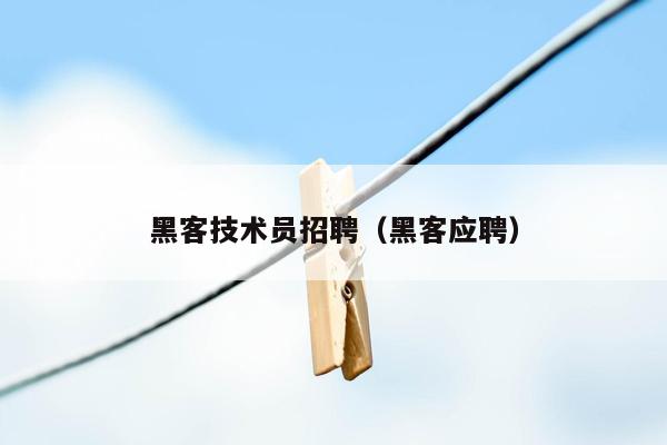 黑客技术员招聘（黑客应聘）