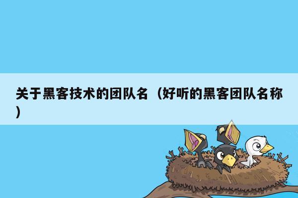 关于黑客技术的团队名（好听的黑客团队名称）