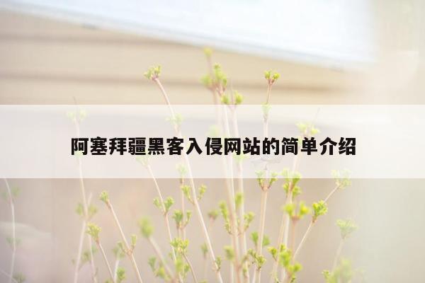 阿塞拜疆黑客入侵网站的简单介绍