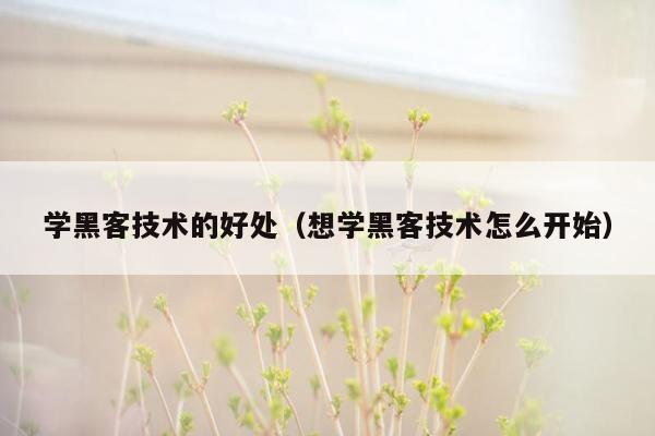 学黑客技术的好处（想学黑客技术怎么开始）