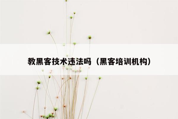 教黑客技术违法吗（黑客培训机构）