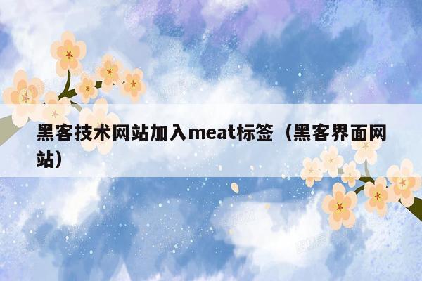 黑客技术网站加入meat标签（黑客界面网站）