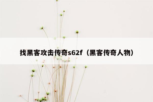 找黑客攻击传奇s62f（黑客传奇人物）