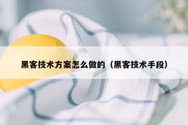 黑客技术方案怎么做的（黑客技术手段）