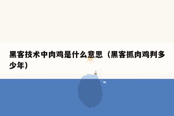 黑客技术中肉鸡是什么意思（黑客抓肉鸡判多少年）