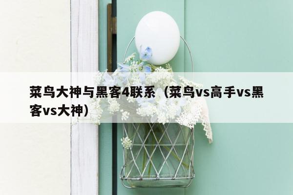 菜鸟大神与黑客4联系（菜鸟vs高手vs黑客vs大神）