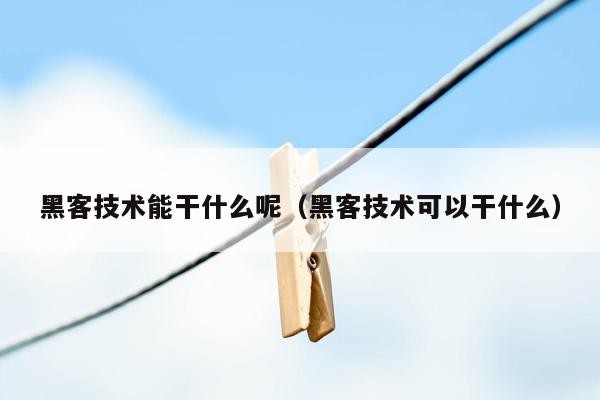 黑客技术能干什么呢（黑客技术可以干什么）