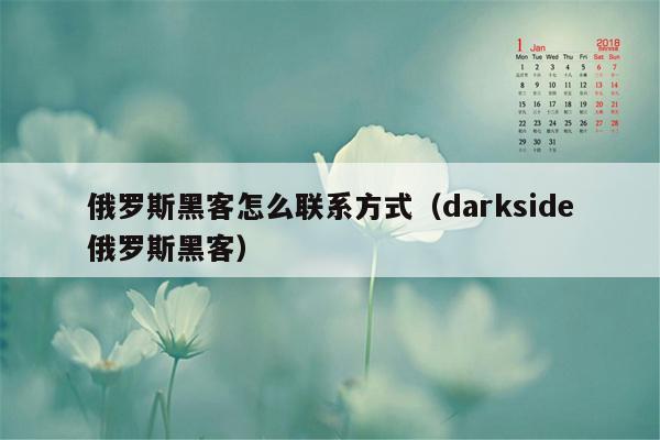 俄罗斯黑客怎么联系方式（darkside俄罗斯黑客）