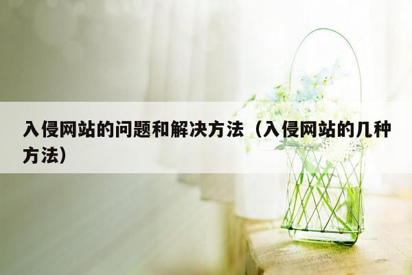 入侵网站的问题和解决方法（入侵网站的几种方法）