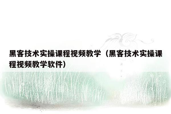 黑客技术实操课程视频教学（黑客技术实操课程视频教学软件）