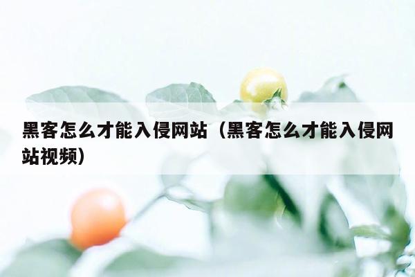 黑客怎么才能入侵网站（黑客怎么才能入侵网站视频）