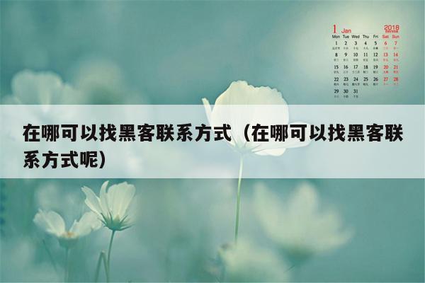 在哪可以找黑客联系方式（在哪可以找黑客联系方式呢）