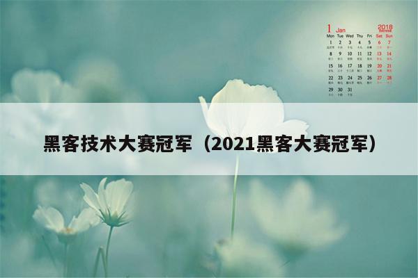 黑客技术大赛冠军（2021黑客大赛冠军）