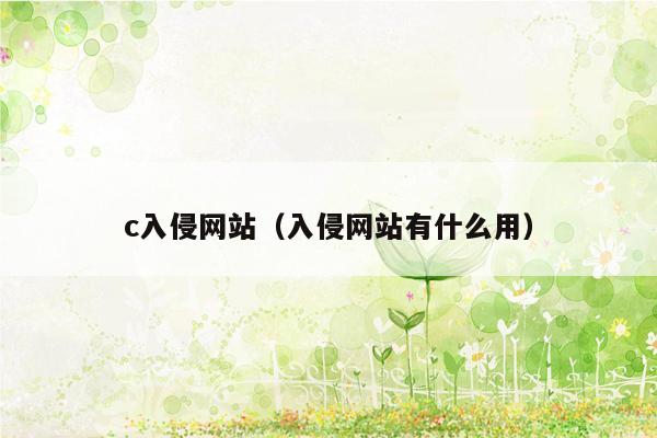 c入侵网站（入侵网站有什么用）