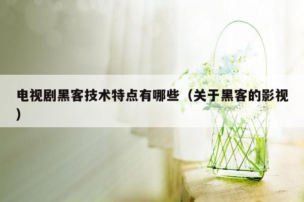 电视剧黑客技术特点有哪些（关于黑客的影视）