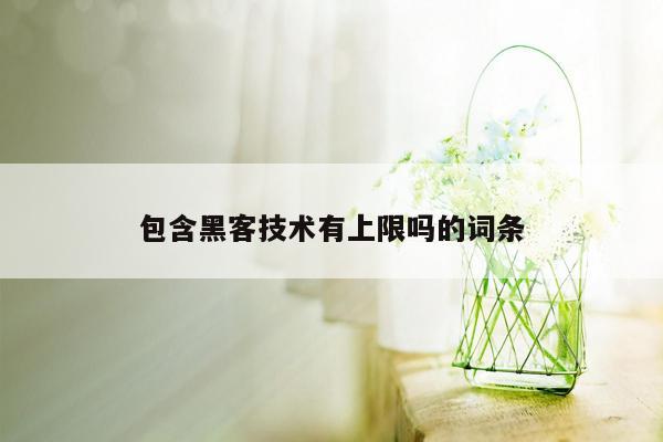 包含黑客技术有上限吗的词条