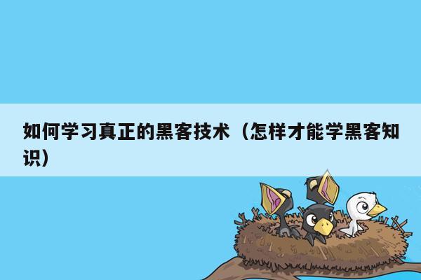 如何学习真正的黑客技术（怎样才能学黑客知识）