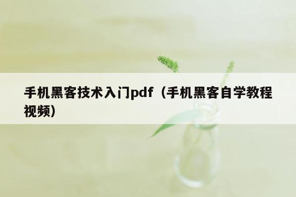 手机黑客技术入门pdf（手机黑客自学教程视频）