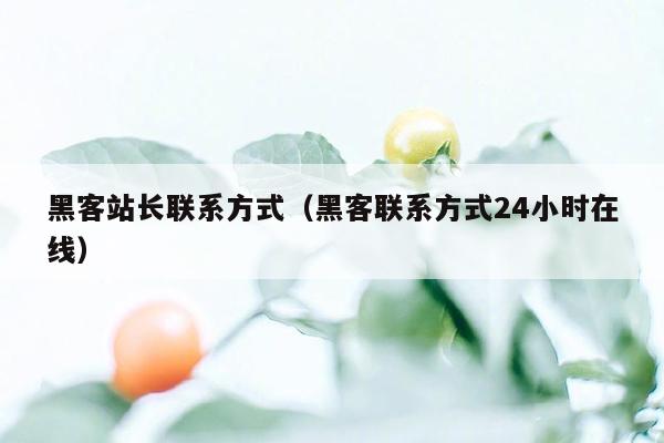 黑客站长联系方式（黑客联系方式24小时在线）