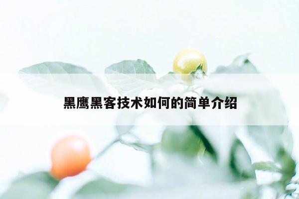 黑鹰黑客技术如何的简单介绍