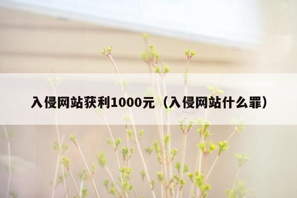 入侵网站获利1000元（入侵网站什么罪）