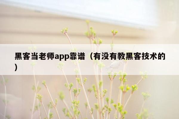 黑客当老师app靠谱（有没有教黑客技术的）