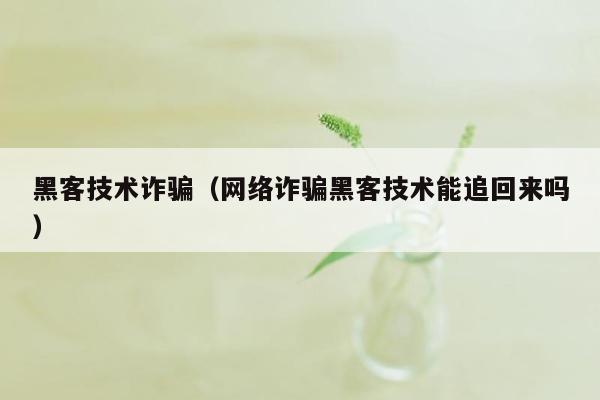 黑客技术诈骗（网络诈骗黑客技术能追回来吗）