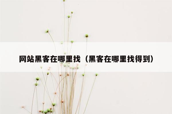 网站黑客在哪里找（黑客在哪里找得到）