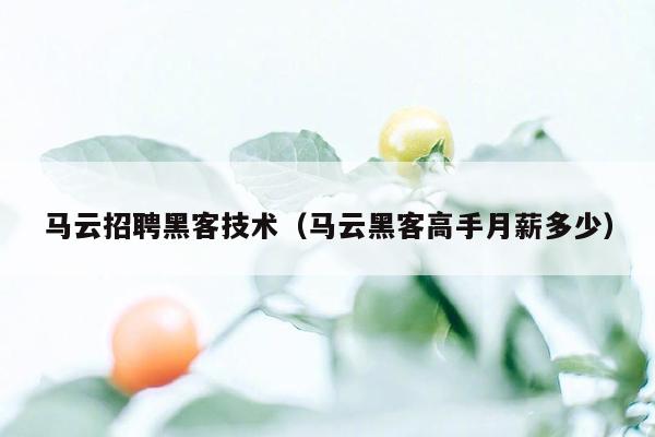 马云招聘黑客技术（马云黑客高手月薪多少）