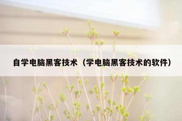 自学电脑黑客技术（学电脑黑客技术的软件）