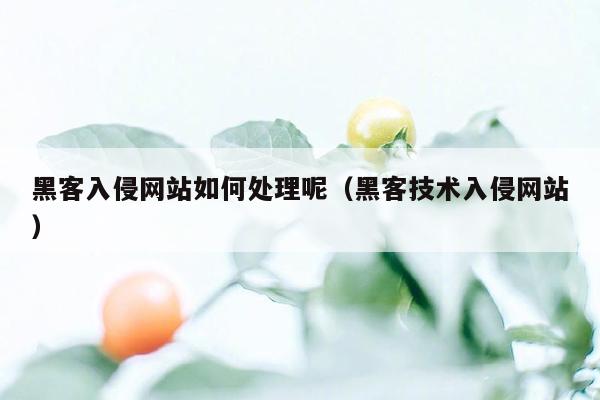 黑客入侵网站如何处理呢（黑客技术入侵网站）