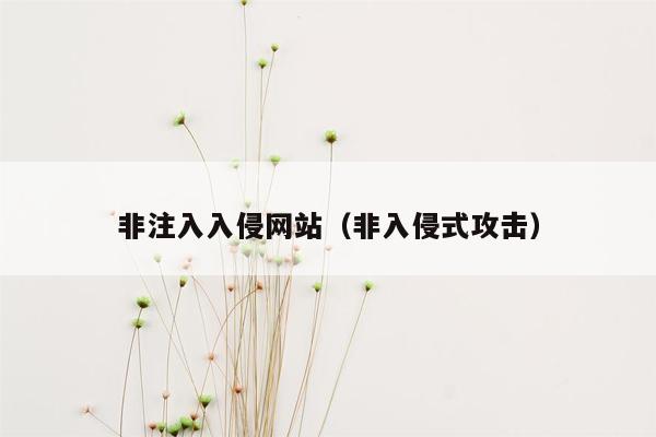 非注入入侵网站（非入侵式攻击）