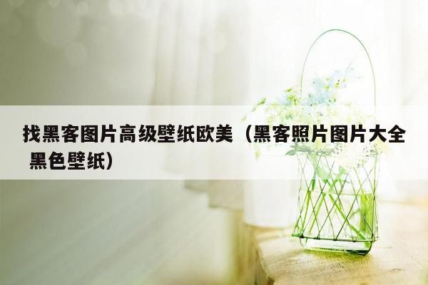 找黑客图片高级壁纸欧美（黑客照片图片大全 黑色壁纸）