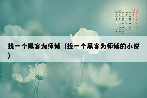 找一个黑客为师傅（找一个黑客为师傅的小说）