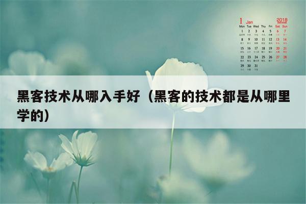 黑客技术从哪入手好（黑客的技术都是从哪里学的）