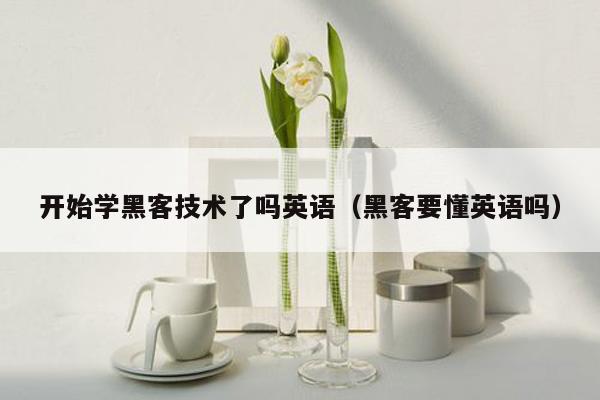 开始学黑客技术了吗英语（黑客要懂英语吗）