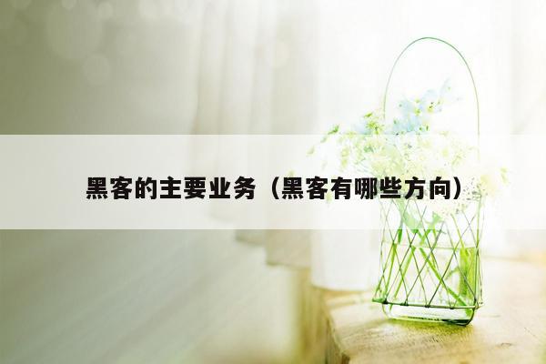 黑客的主要业务（黑客有哪些方向）