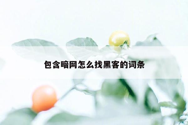 包含暗网怎么找黑客的词条