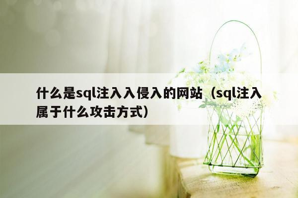 什么是sql注入入侵入的网站（sql注入属于什么攻击方式）