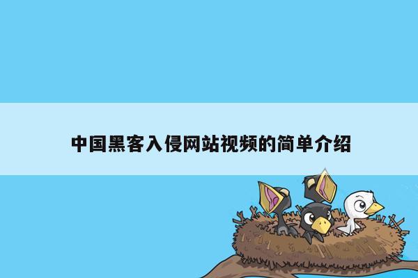 中国黑客入侵网站视频的简单介绍