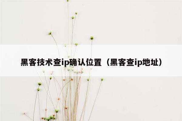 黑客技术查ip确认位置（黑客查ip地址）